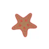 Star Fish Coaster (Set of 2)