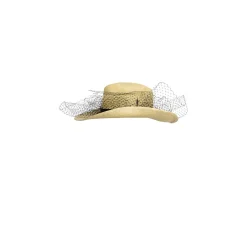 Texan Long Brim Hat With Tulle
